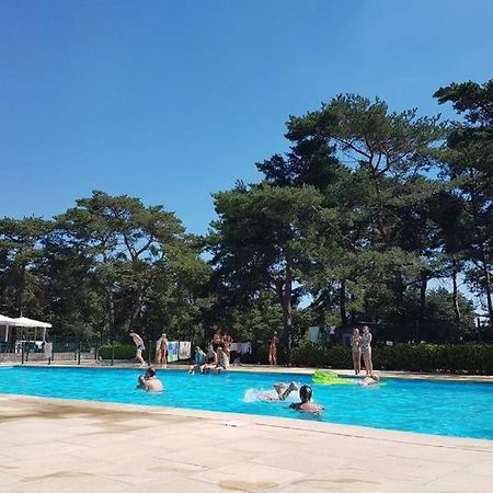 " Casitacuriosa " Chalet Op Camping Met Buitenzwembad Balen Extérieur photo