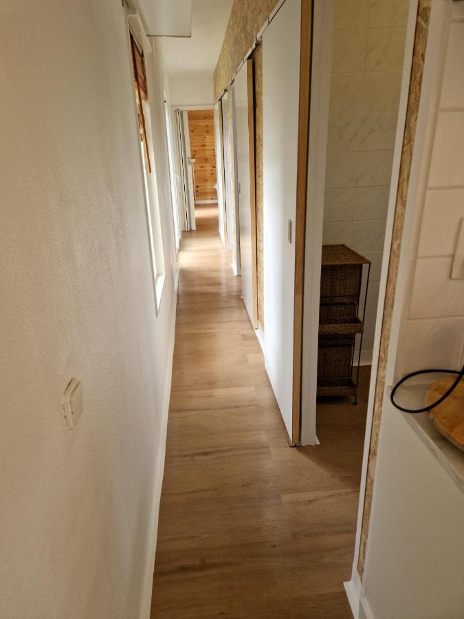 " Casitacuriosa " Chalet Op Camping Met Buitenzwembad Balen Extérieur photo